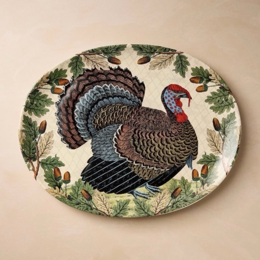 19"x14" Turkey with Acorn Stoneware Oval Serving Platter- John Derian for Target
